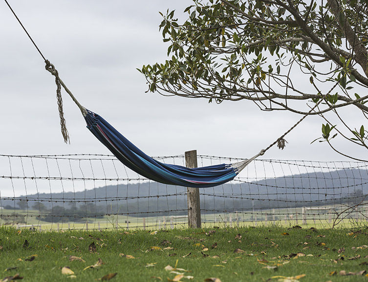 Hammock in Country Scene | Relax at Old Schoolhouse Milton NSW