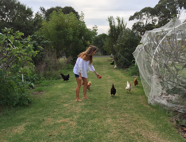 Accommodation South Coast | The Old Schoolhouse Milton NSW