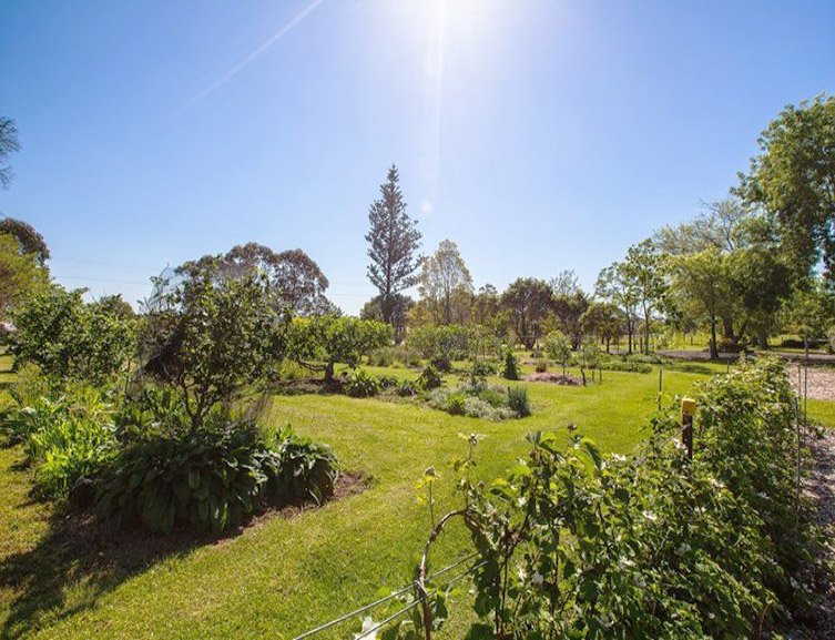 Holiday Accommodation Milton - The Old Schoolhouse Orchard in Summer