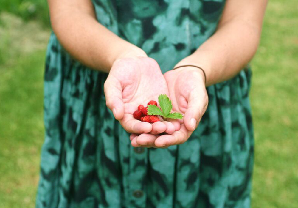 Old Schoolhouse Milton Bookings